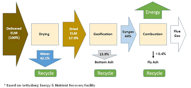 Disappearance of Egg Layer Manure